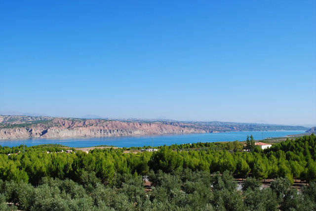 Alojamiento Rural Arucema Фрейла Номер фото
